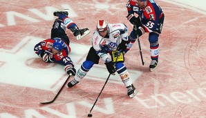 Nick Petersen spielt ab der kommenden Saison bei den Iserlohn Roosters