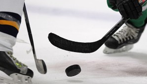 In Moskau ist ein schwedischer Eishockeyspieler mit Bananen beworfen worden