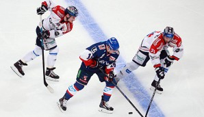 Die Eisbären Berlin im Spiel gegen die Adler Mannheim