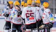 Die Spieler der Fishtown Penguins Bremerhaven feiern ihren Sieg über Tabellenführer München.