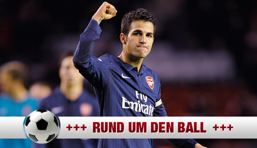 Cesc Fabregas kam im Sommer 2003 aus Barcelona zum FC Arsenal - für eine Million Euro