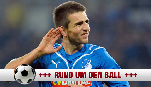 Vedad Ibisevic traf in der abgelaufenen Saison zwölfmal für Hoffenheim