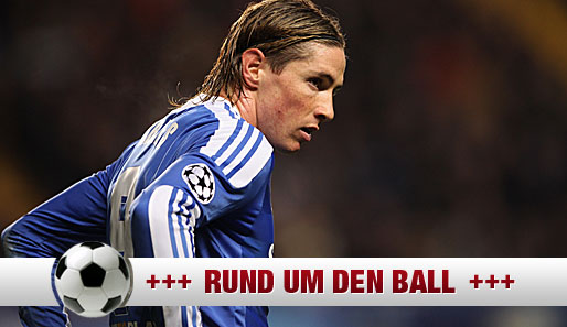 Fernando Torres und der FC Chelsea - bisher das wohl teuerste Missverständnis der Saison