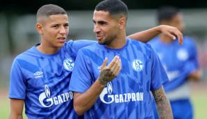 Der FC Schalke 04 trifft heute auf Twente Enschede.