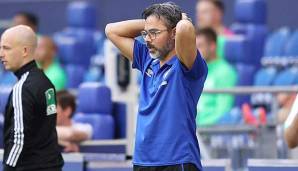 Hat eine extrem ernüchternde Rückrunde mit Schalke 04 hinter sich: Trainer David Wagner.