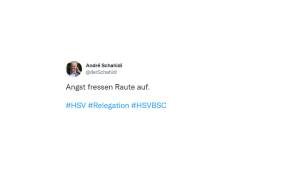 HSV, Hertha BSC, Relegation, Bundesliga, Netzreaktionen