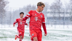 Nick Salihamidzic, FC Bayern München, Bundesliga, Transfer
