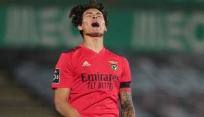 Darwin Nunez (21, Benfica Lissabon, Mittelstürmer): 24 Millionen Euro zahlten die Portugiesen im Sommer für den Uruguayer, der auf Anhieb in jedem Spiel (4) auf dem Platz stand. Der zweifache Nationalspieler zahlte das Vertrauen mit fünf Vorlagen zurück.