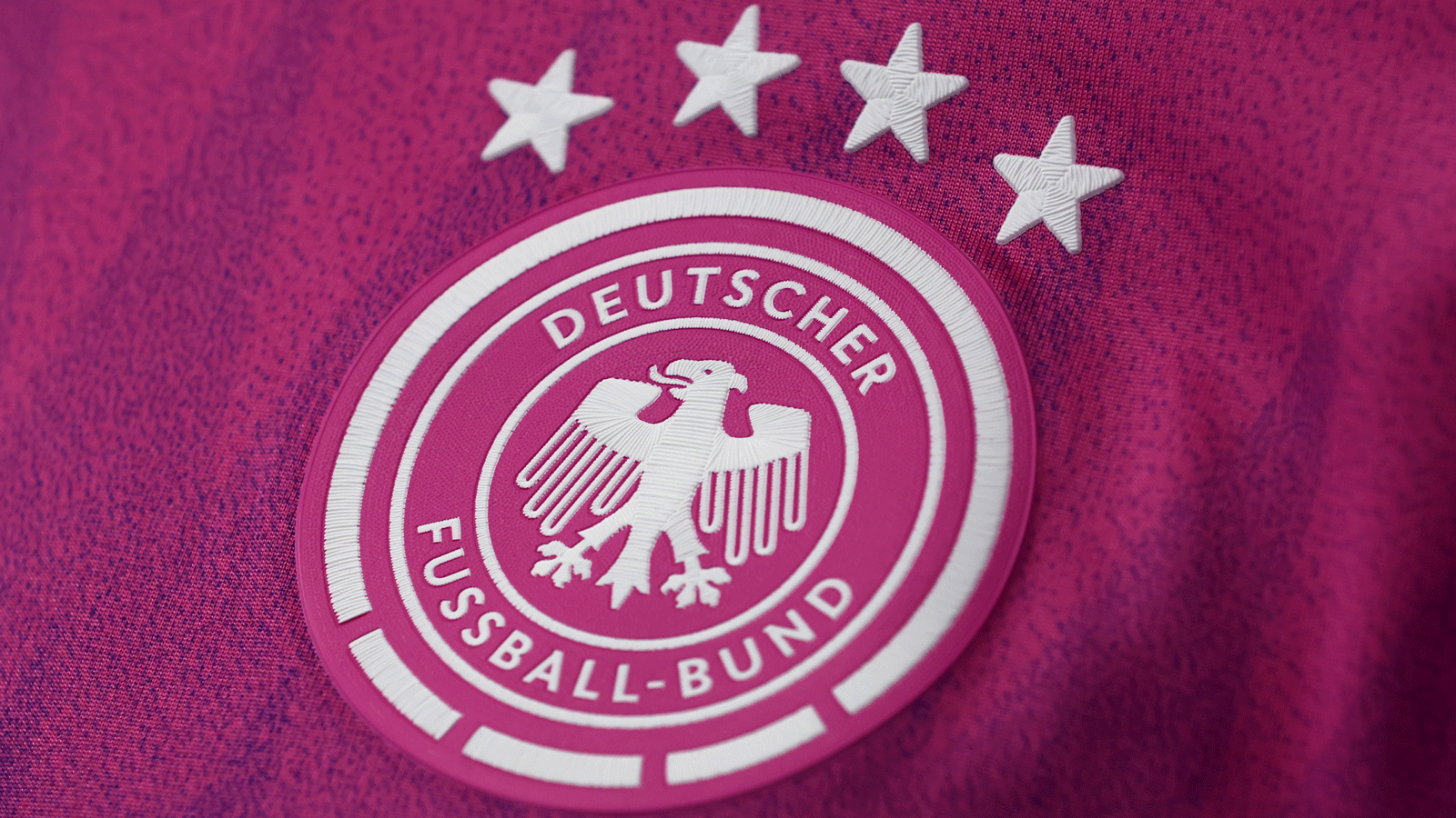 DFB, Logo