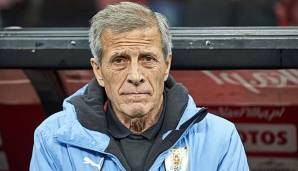 tabarez-600