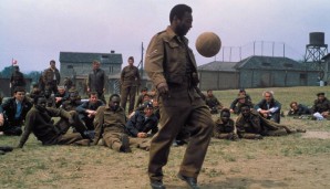 Pelé, Leben in Bildern, Karriere