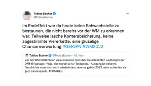 WM 2022, Weltmeisterschaft, Katar, Deutschland, Japan, Netzreaktionen, Reaktionen, Twitter