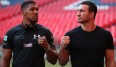 Wladimir Klitschko und Anthony Joshua stehen sich im Wembley Stadium gegenüber