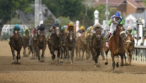 Beim Galopp sind die Entscheidungen oft sehr knapp