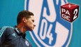 Julian Draxler hat Schalke 04 verlassen