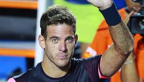 Juan Martin del Potro