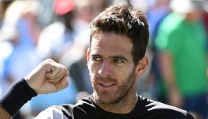 Juan Martin del Potro